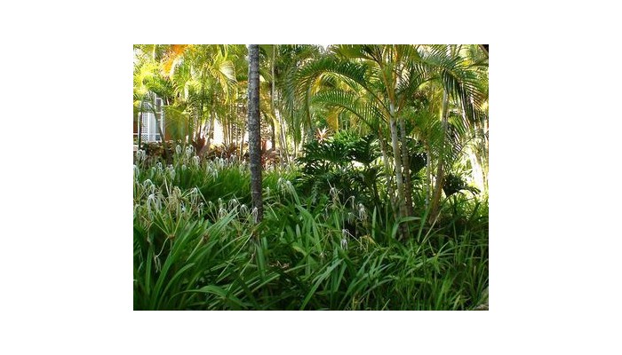 Hotel Amhsa Grand Paradise Playa Dorada poza 0