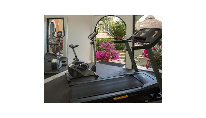 Flamingo Vallarta Hotel Y Marina poza 8