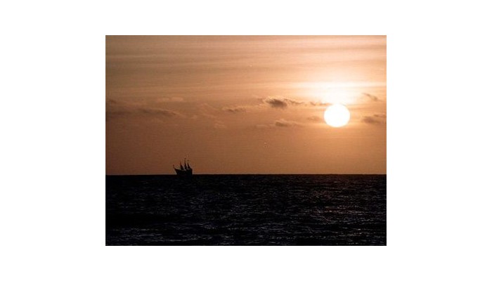 Hotel Torre De Oro Vallarta Centro poza 8