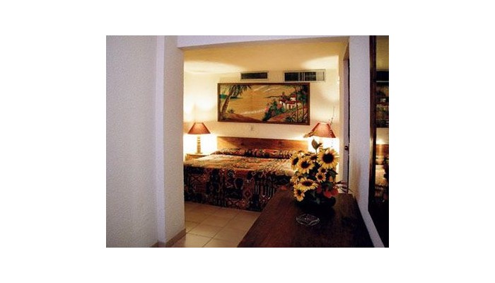 Hotel Torre De Oro Vallarta Centro poza 4