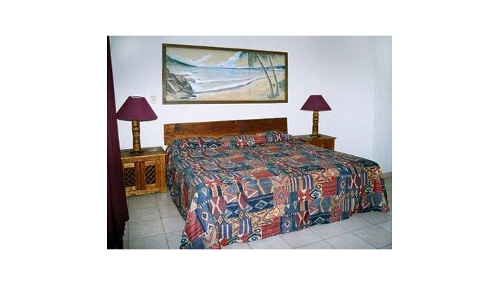 Hotel Torre De Oro Vallarta Centro poza 1