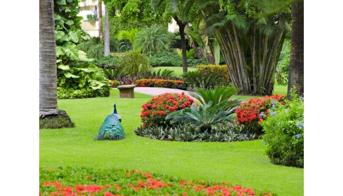 Velas Vallarta Family Beach Resort Premium All Inclusive poza 1