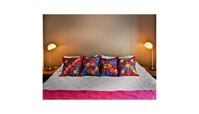 Villa Mercedes Petit Hotel Vallarta Centro Solo Adultos poza 2