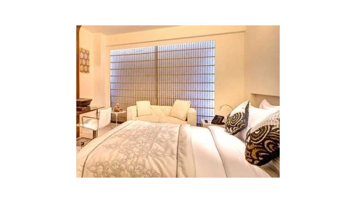 Hotel Hindustan International poza 4