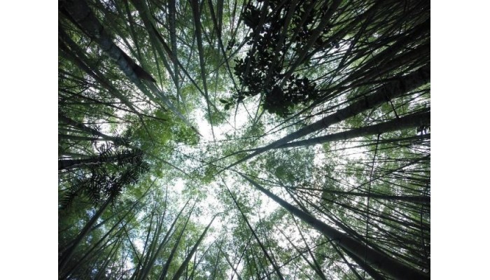 Hotel Finca La Marsellesa poza 11