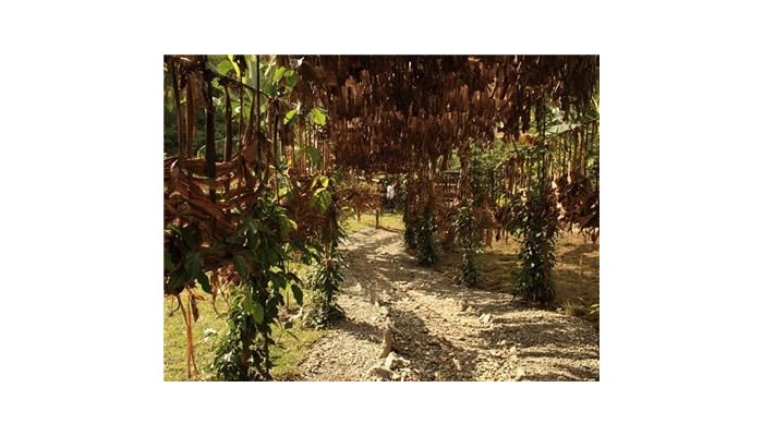 Hotel Hacienda Combia poza 11