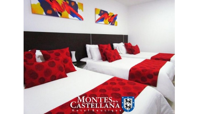 Hotel Montes De La Castellana poza 4