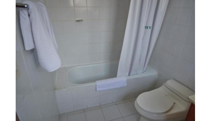 Embassy Hotel poza 3