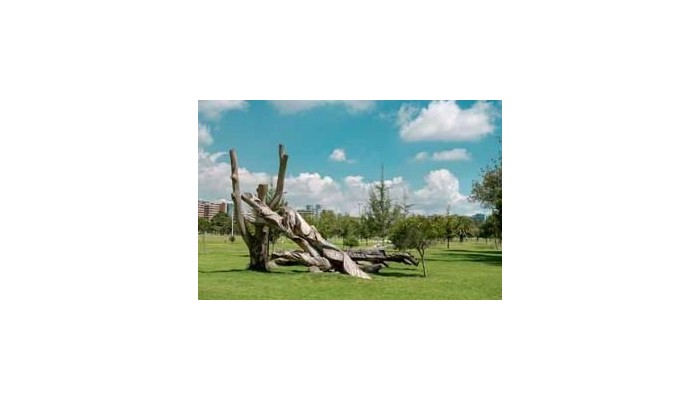 Hotel Dann Carlton Quito poza 4