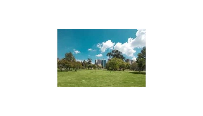 Hotel Dann Carlton Quito poza 9