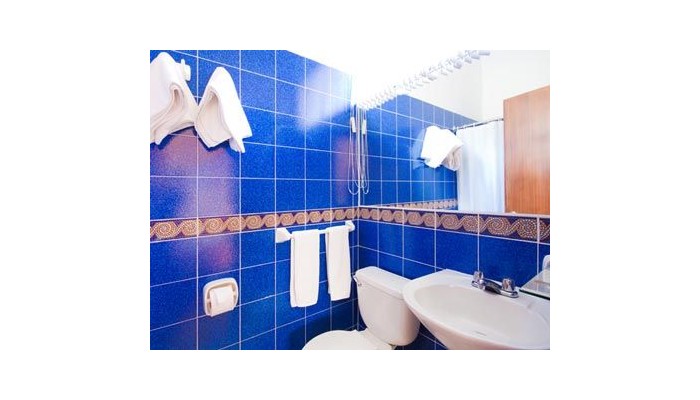 Hotel La Cartuja poza 2