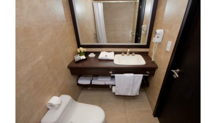 Hotel Lugano Suites poza 0