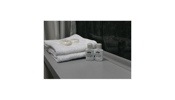 Hotel Suites Metropoli poza 6