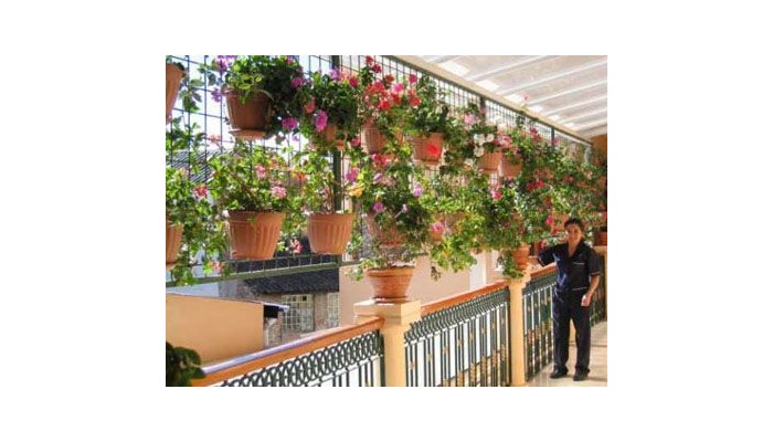 Plaza Sucre Hotel Boutique poza 0