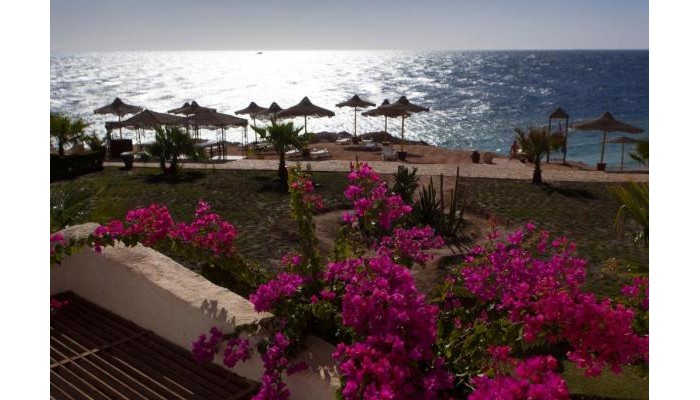 Sharm Club Beach Resort poza 27