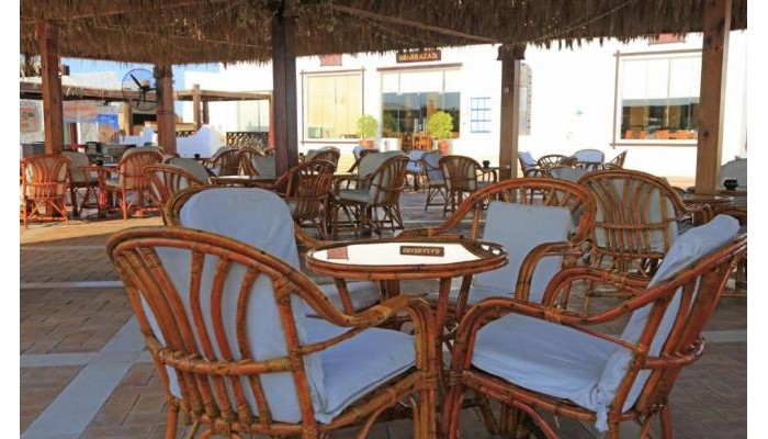 Sharm Club Beach Resort poza 15