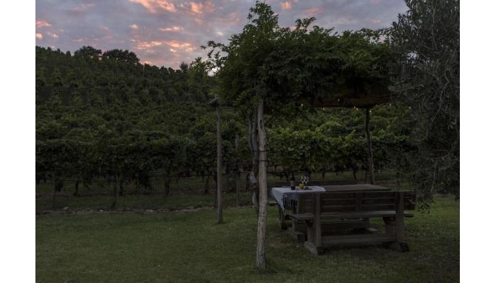 Hotel Residence La Vigna poza 15