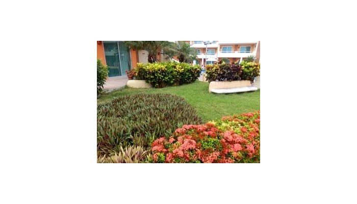 Star Bay Resort poza 6