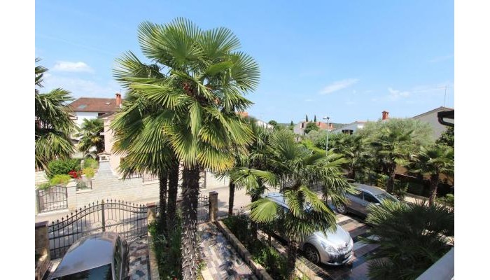 Apartments Dana & Stelio poza 15