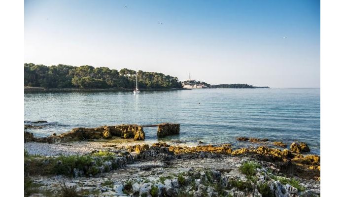 Apartments Villa Borik poza 17