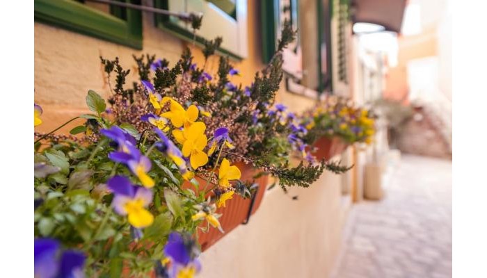 Hotel Residence Marco Polo poza 3