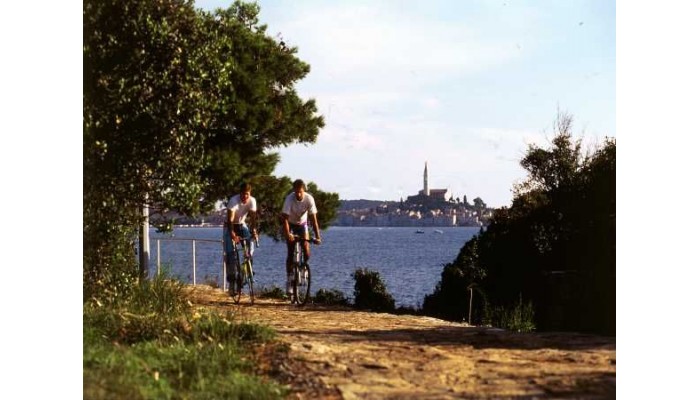 Hotel Valdaliso poza 11