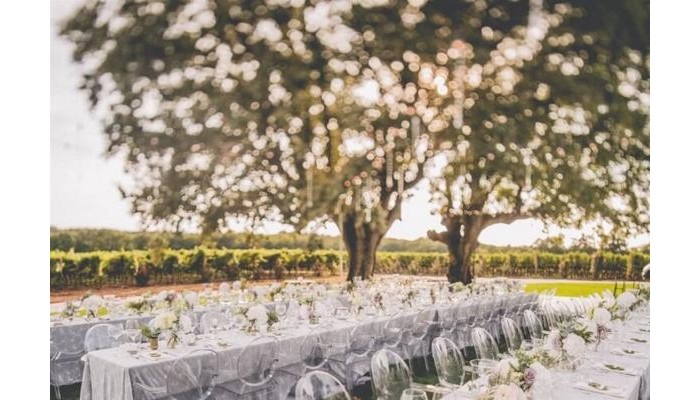 Meneghetti Wine Hotel & Winery poza 7