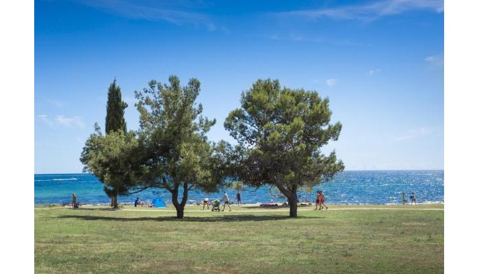 Villas Rubin Resort poza 12