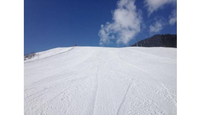 Hotel Landhaus Andrea poza 0