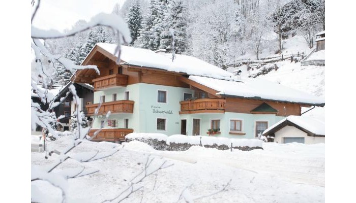 Hotel Pension Bohmerwald poza 0