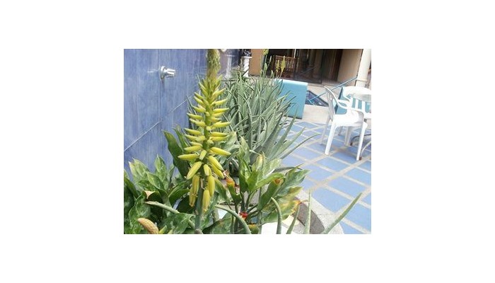 Hotel Francisco Ii poza 3