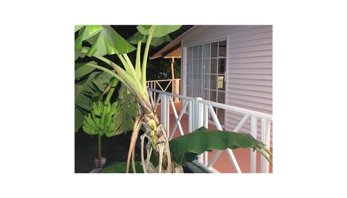 Hotel Oceanviewsai poza 8