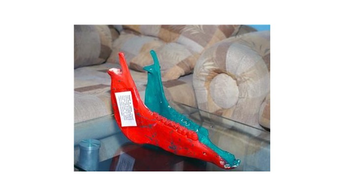 Hotel Posada Nativa Dermas Inn poza 3