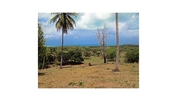 Hotel Posada Nativa Dermas Inn poza 11