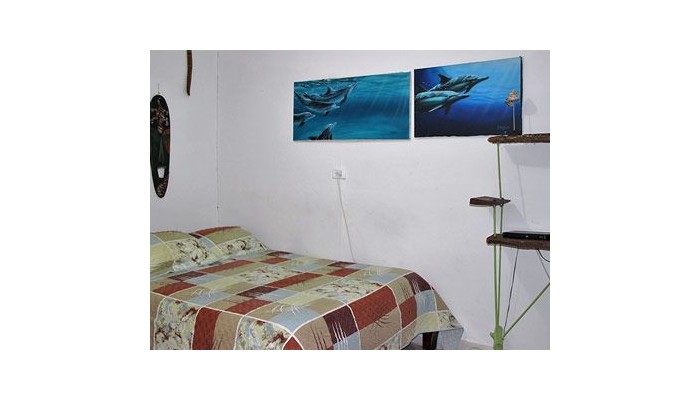 Hotel Posada Nativa Lizard House poza 2