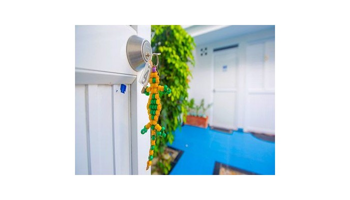 Hotel Posada Nativa Lizard House poza 7