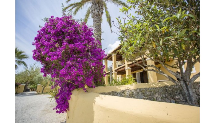 Hotel Las Mariposas Ibiza poza 10