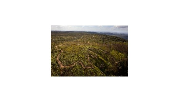 Ka'ana Boutique Resort poza 5