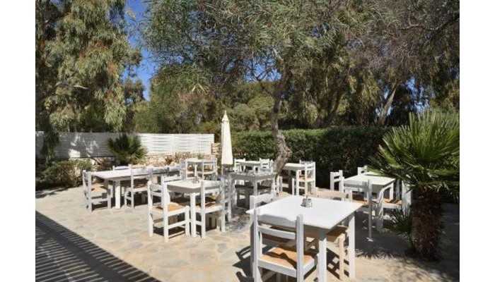 Hotel Surfing Beach poza 8