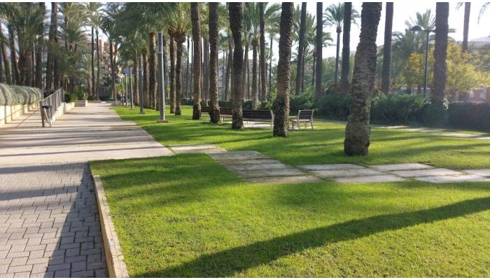 Hotel Patilla poza 0