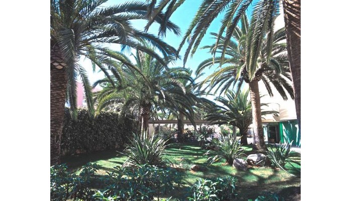 Hotel Palmira Isabela poza 4