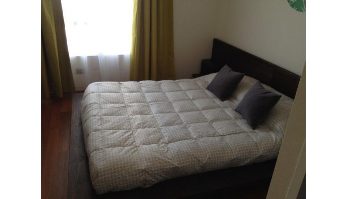 Cozy Bright Apartment poza 4