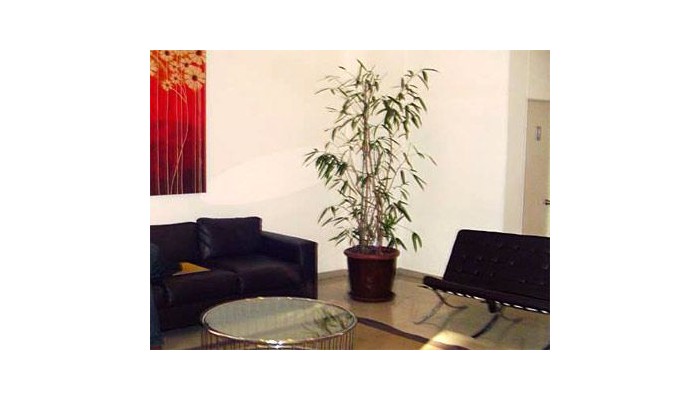 Hotel Apart Altamira poza 8