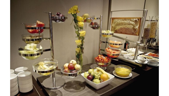 Hotel Atton El Bosque poza 0