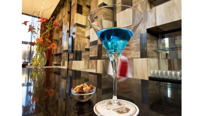 Hotel Best Western Premier Marina Las Condes poza 8