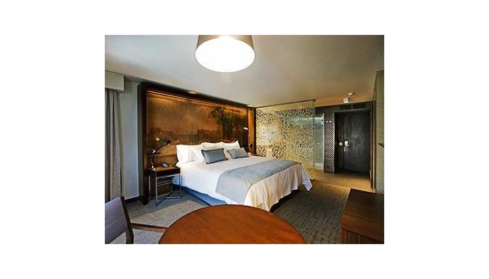 Hotel Cumbres Lastarria poza 4