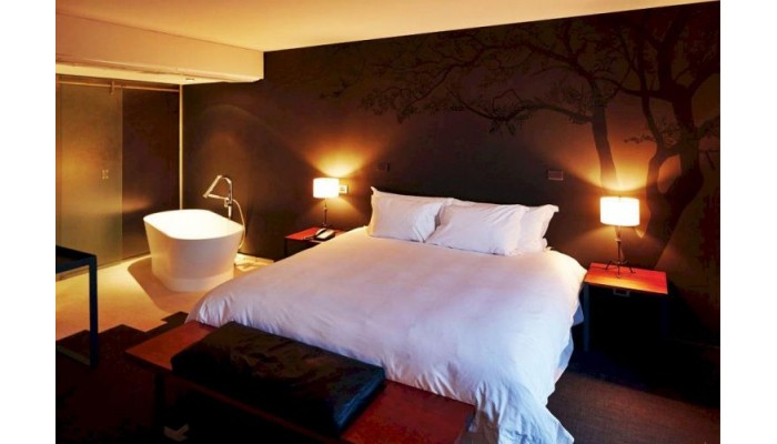 Hotel Ismael 312 poza 11