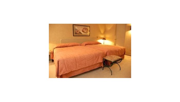 Hotel Leonardo Da Vinci poza 5