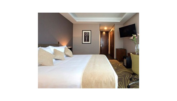 Hotel Manquehue Aeropuerto poza 8