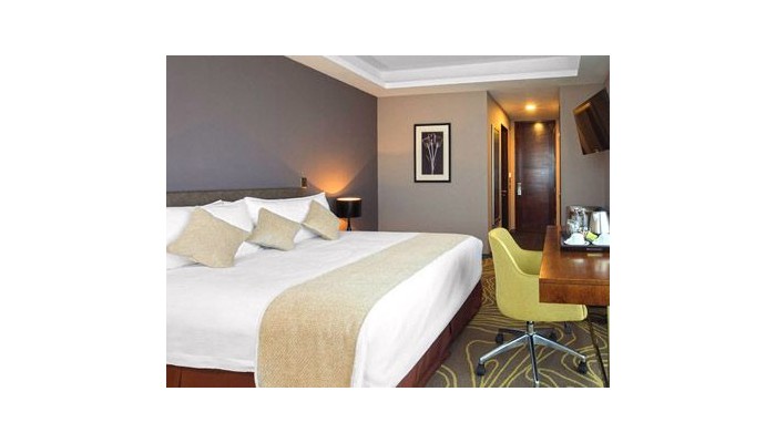 Hotel Manquehue Aeropuerto poza 11